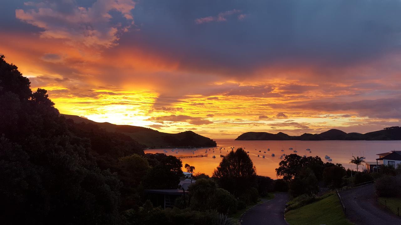 Bird Haven Bed & Breakfast Coromandel Luaran gambar